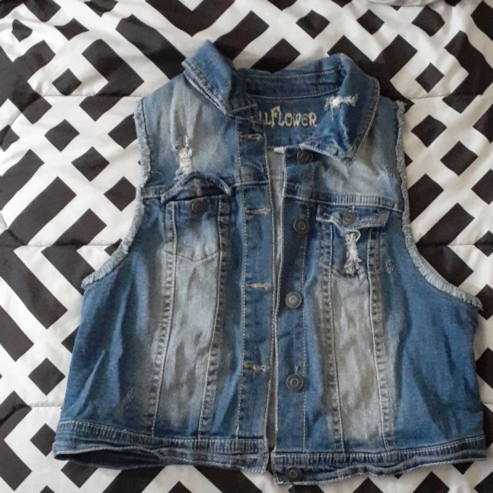 Vest